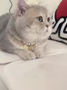 VOA | Pet Necklace with Silent Bell for Cats Dogs and Rabbits