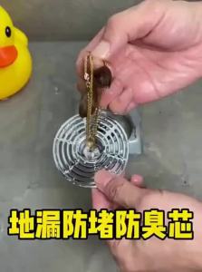 Deodorizing and Pest-Proof Drain Filter