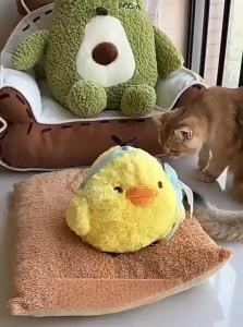 7o | Interactive Durable Cat Toy Ball
