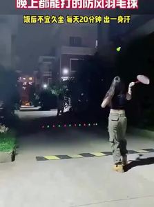 Night-Glowing Durable Wind-Resistant High Elasticity Shuttlecock