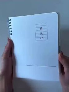 ZHENMIAO | Removable Ring Binder Cornell Note A4 B5 Notebook