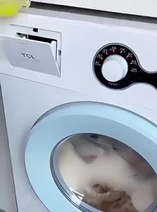 Algn | Strong Descaling Disinfecting Deep Cleaning Washing Machine Cleaner