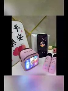 ROEL-PLAY | Bluetooth KTV Speaker with Microphone for Home Karaoke Gift