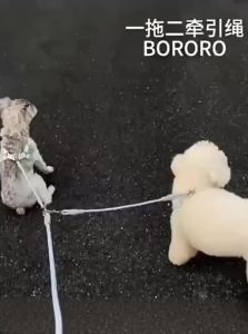 VOA | Anti-Tangle Dog Leash for Two Dogs