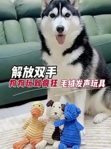 7o | Chew-Resistant Squeaky Teething Companion Toy