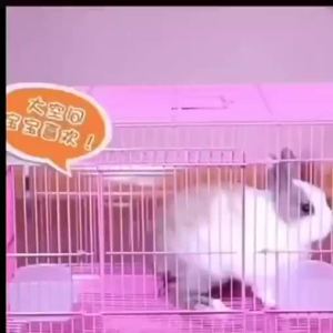 LIWAN | Extra Large Rabbit Cage with Toilet