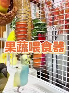 VOA | Stainless Steel Feeding Toy for Birds with Fruit and Vegetable Basket