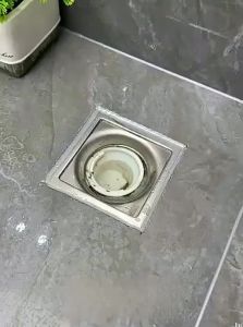 Deodorizing Anti-Insect Drain Cover Silicone
