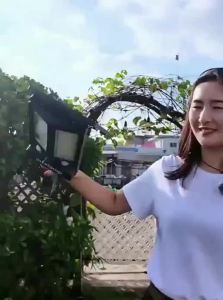 intelamp | Solar Powered All-in-one Induction Outdoor Lamp for Rural Home Use