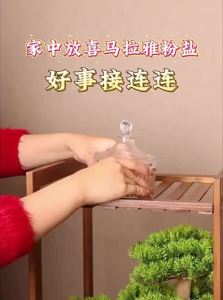 PINZHIJUSHI | Home Purification Sea Salt Original Salt Ornament
