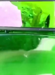 WEVOLA | Auto Darkening Welding Helmet Face Mask