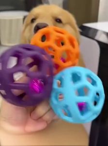 YouPin |Chew Resistant Durable Dog Toy Ball