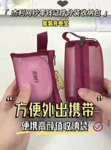 JIELI | Transparent Mesh Zipper Pouch for Wallet Handbag Small Bag ID Card Data Cable Mini Document Bag
