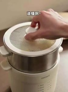 OIDIRE | Automatic Small Home Egg Steamer