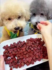 WEIDONGXING | Training Reward Nutritious Dental Treats for Dogs