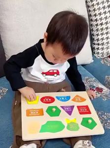 MWZ | Montessori Wooden Puzzle Block Educational Toy for Babies