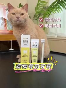 7o | Deodorizing Edible Pet Toothbrush and Toothpaste Kit
