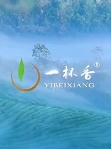 YIBEIXIANG |2025 New Season Aromatic Jasmine Tea 250g