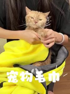 TO BE EASY | Quick-Dry Super Absorbent Cat & Dog Bath Towel