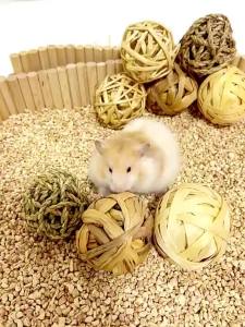YUEXIAOMENG | Biting and Playing Toy Woven Ball For Hamsters