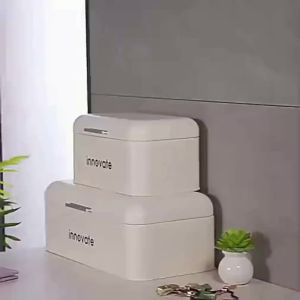 XUANGUAN | Large Capacity Organizer Bread Keys Mask Medicine Storage Box