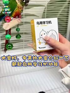 VOA | Bird Training Device with Recording and Singing Learning Function