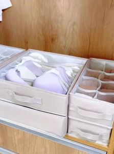 Bicoy | Drawer Style Fabric Underwear Socks Panty Organizer Box