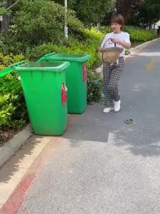 Folding Portable Trolley Cart