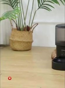 HELLOLEIBOO | Automatic Feeder Pet  Feed Dispenser