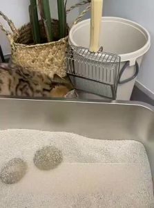 Stainless Steel Large Cat Litter Scoop