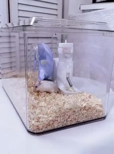 HUICHONG | Extra Large Chew-Resistant Cage for Golden Hamsters