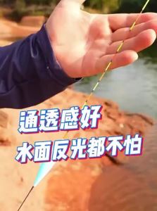 jiadiaoni | High Sensitivity Large Fish Float Bright Thick Tail