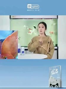 Yee | Water Mould and White Spot Treatment for Ornamental Fish Medication Methylene Blue Solution