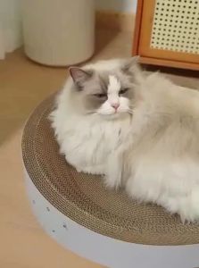 HELLOLEIBOO | Round Cat Scratching Board & Nest Durable Non-Dusting Large Size