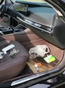 DELIHUA | Car Storage Organizer