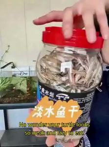 NAICHONG | Salt-Free Dried Fish Snacks