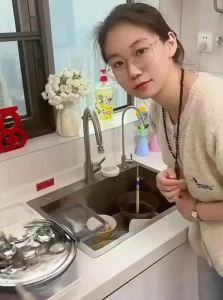 Kitchen Sink Debris Collector Single Use Strainer
