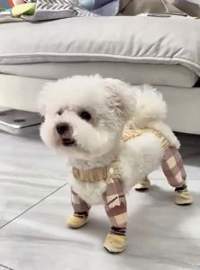 VOA | Waterproof Dirt Prevention Dog Leg Socks