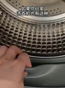 LYCOCELLE | Anti-scaling Anti-mold Disinfectant Scented Washing Machine Cleaner 250ml