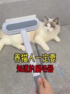 VOA | Pet Hair Cleaning Tool